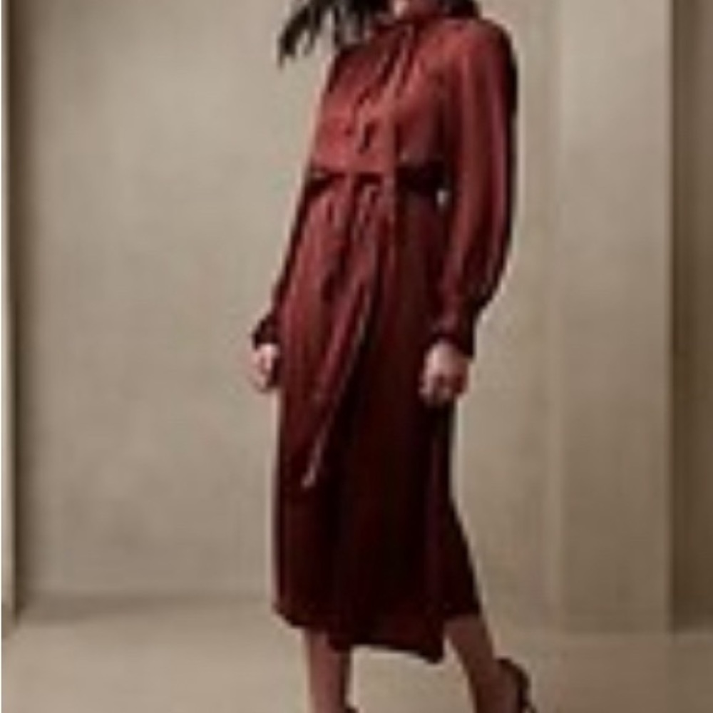 Banana republic Brand new women/ladies dress size XS paid over 70$